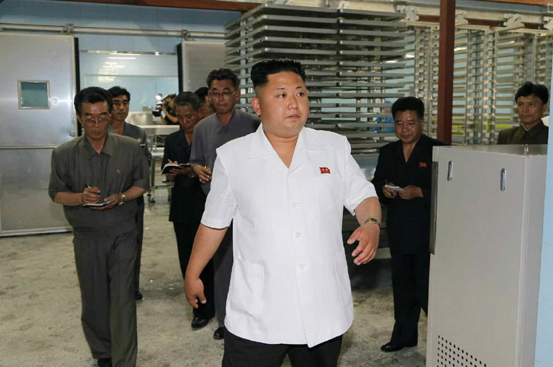 金正恩视察水产品加工厂时的表情和走姿(组图)
