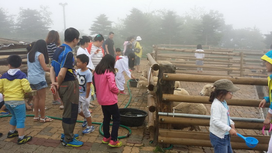 6月28日至29日 ，在江陵市举办的2天1夜家庭野营活动中，参与家庭们参观岭羊牧场