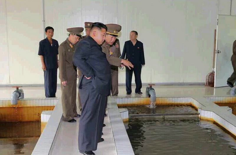 高清：金正恩视察水产品研究所 要求产品符合人民口味