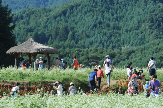 韩国优秀庆典之平昌“孝石文化节”