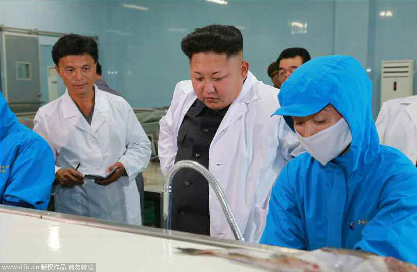 高清:金正恩穿“白大褂”视察水产品加工厂