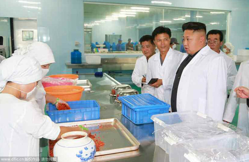 高清:金正恩穿“白大褂”视察水产品加工厂