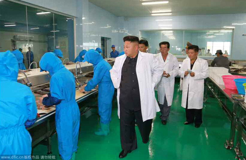 高清:金正恩穿“白大褂”视察水产品加工厂