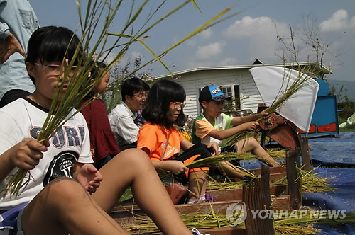 韩国举办农场体验活动 参与者：农活真有趣（图）