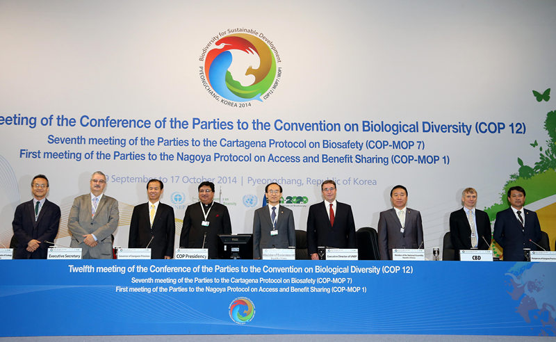 第12届生物多样性公约缔约国大会开幕(组图) (