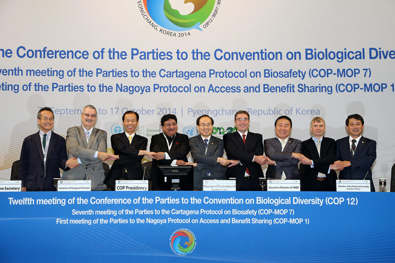 第12届生物多样性公约缔约国大会开幕(组图)
