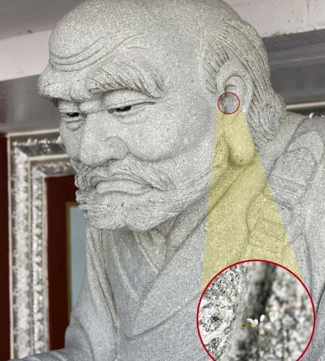 韩国一大学惊现“神花” 相传3000年一见(图)