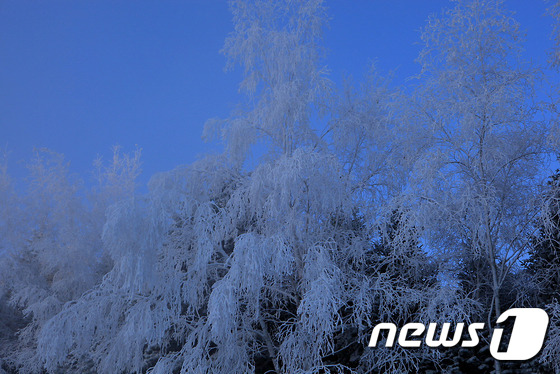 韩国江原道滑雪场开张在即 今起实施人工造雪（组图）