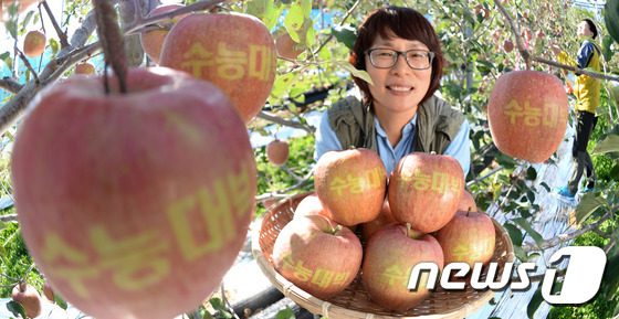 高考成功 金榜题名——韩国果农收获带好彩头文字的苹果【组图】