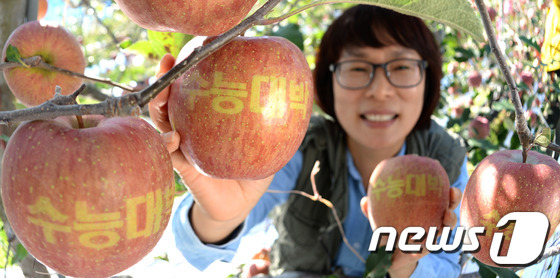 高考成功 金榜题名——韩国果农收获带好彩头文字的苹果【组图】