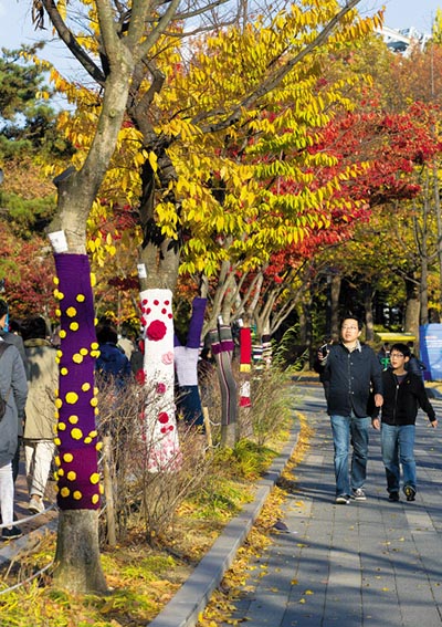 首尔树木穿五彩“棉衣”抵御寒流入侵（组图）
