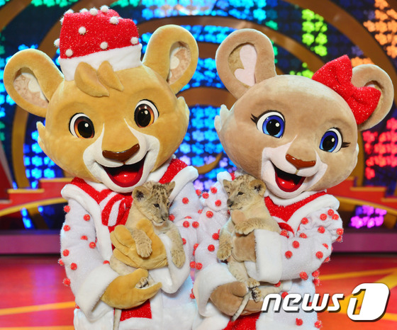 韩国爱宝乐园喜迎两只狮子幼崽 模样讨喜（组图）