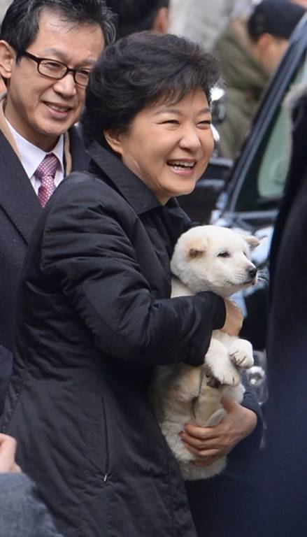 朴槿惠养珍岛犬普京救老虎 看政治明星与动物的“甜蜜情缘”【组图】