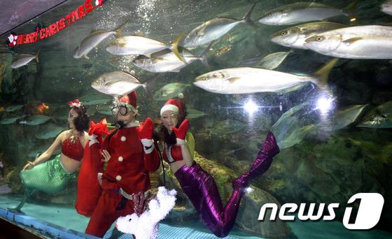 韩国63海洋世界迎圣诞 人鱼公主与圣诞老人水中“共舞”（组图）