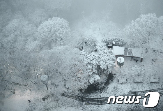 韩国迎暴雪天气 民众雪中拍照欢乐多(组图) (8)