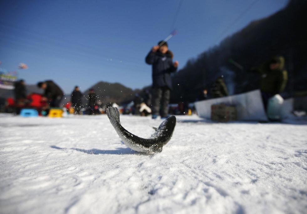 韩国冰钓比赛吸引上百万人参加（组图）