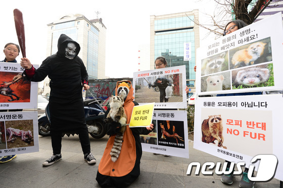 韩国动物保护协会：拒绝皮草 反对虐杀【高清组图】