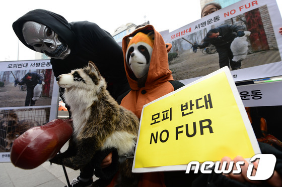 韩国动物保护协会：拒绝皮草 反对虐杀【高清组图】