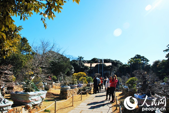 春节赴韩旅游好去处——统营长蛇岛海上公园【高清组图】