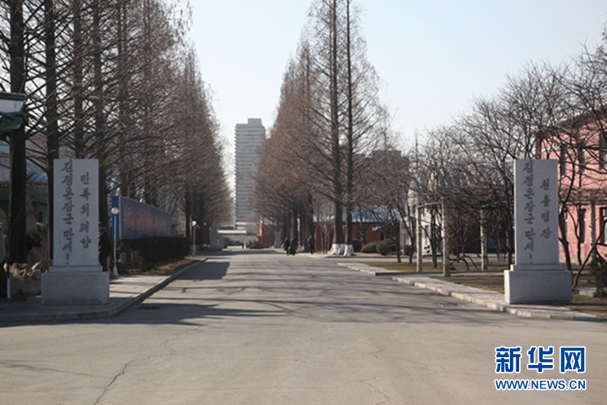 西方记者看不到的朝鲜：口号朝鲜（组图）