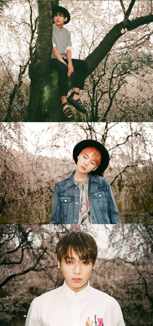 韩男团防弹少年团新专辑宣传照 樱花树下如梦似幻【组图】