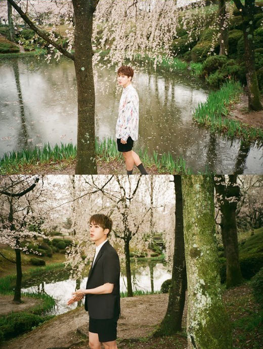 韩男团防弹少年团新专辑宣传照 樱花树下如梦似幻【组图】