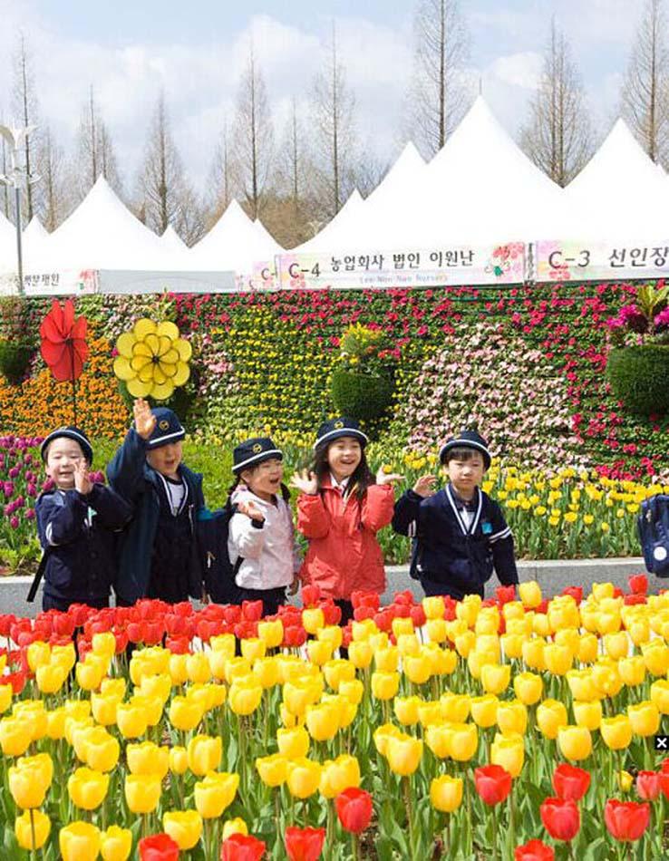 韩国花卉博览会开幕 一亿朵鲜花绚丽绽放(组图)