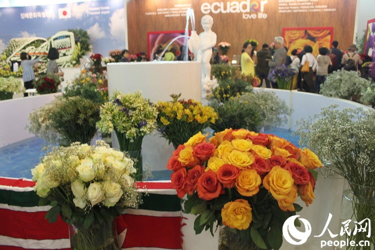 韩国高阳举办国际花卉博览会 亿朵鲜花齐聚盛宴
