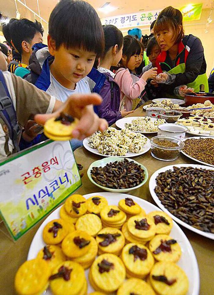 韩国重口味“昆虫曲奇”展吸引好奇民众 用昆虫制成（组图）