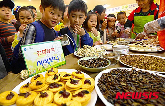 韩国重口味“昆虫曲奇”展吸引好奇民众 用昆虫制成（组图）