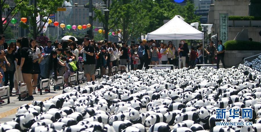 【镜头看世界】熊猫军团“占领”首尔