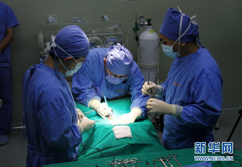 探访韩国“克隆工厂”——秀岩生命工学研究所（高清组图）
