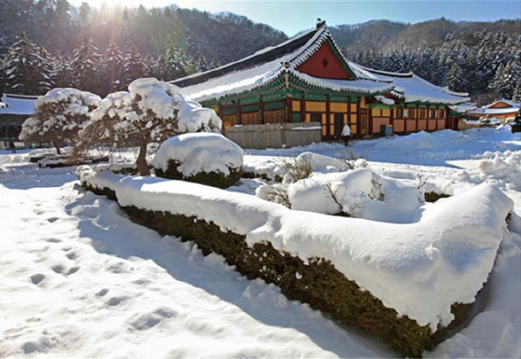 江原冬季美景