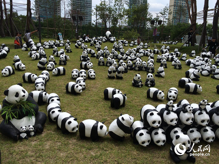 1600只熊猫玩偶造访乐天 萌萌惹人爱【组图】