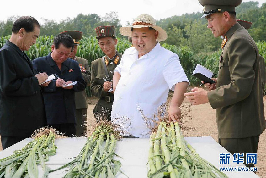 金正恩视察朝鲜人民军所属1116号农场