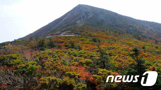 雪岳山中青一带已经被枫叶染红 ( 图片来源：News1)