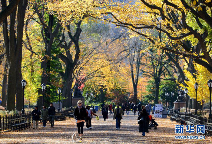 韩国日本美国 跟着秋季美景去各国旅行【组图】