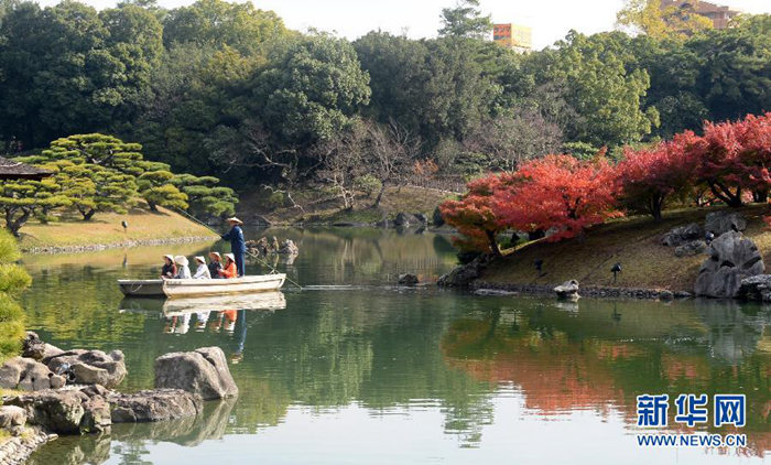 韩国日本美国 跟着秋季美景去各国旅行【组图】