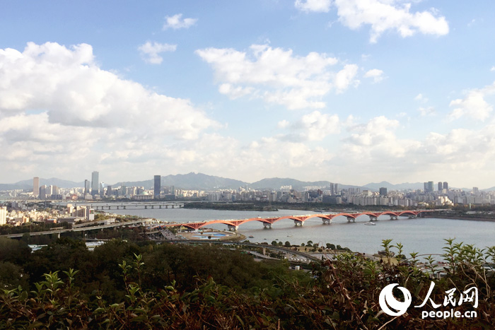 金秋十月 首尔紫芒节浪漫来袭【组图】