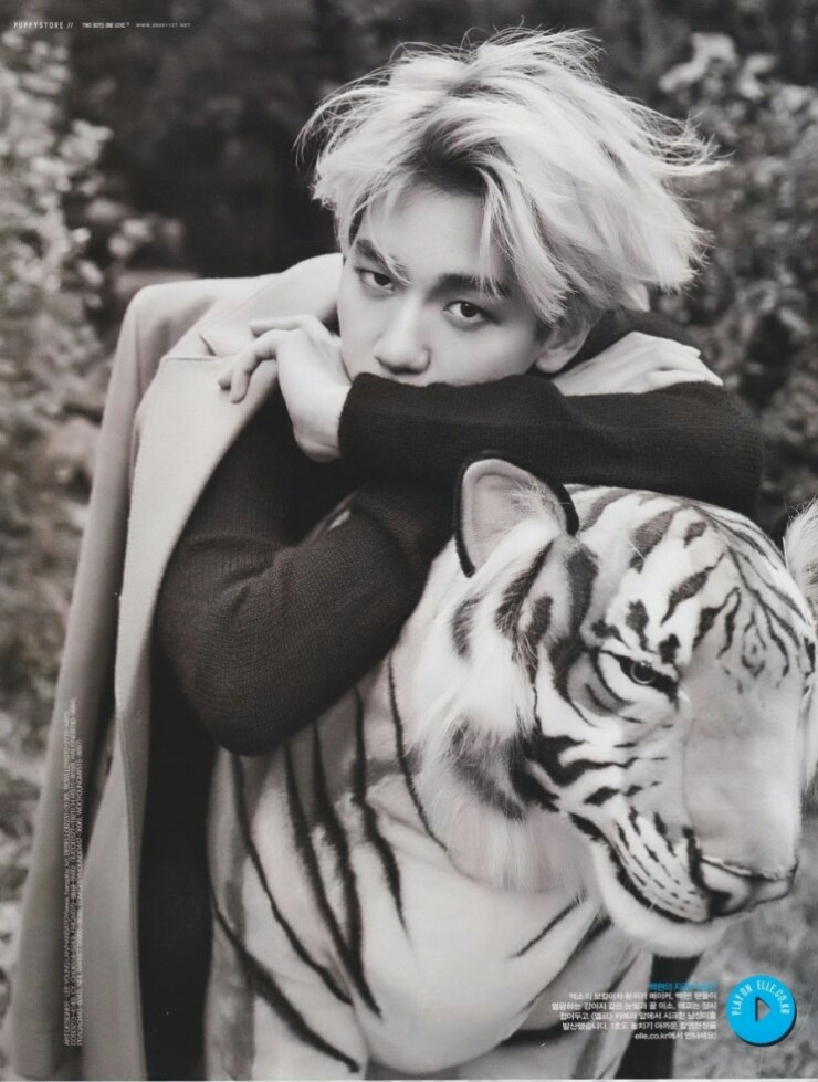 exo伯贤拍个人写真展高冷魅力 自曝常向队友倾诉心里话【组图】