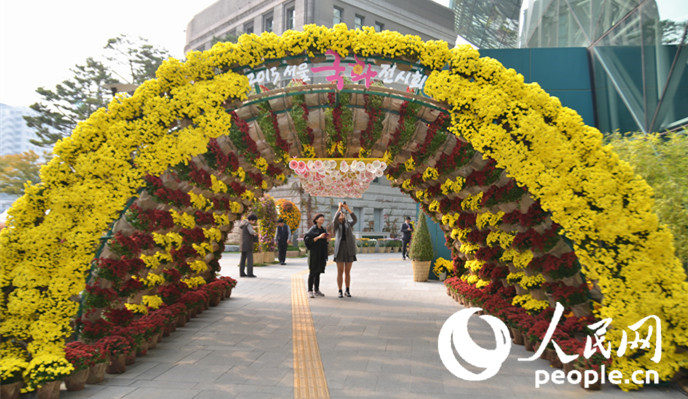 魅力首尔广场 金秋赏菊【组图】