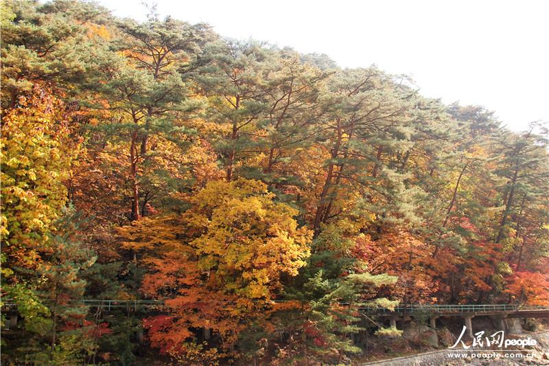 走进朝鲜妙香山-普贤寺-高丽成均馆(组图) (17)