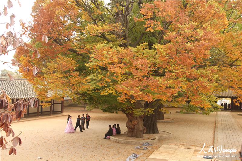 走进朝鲜妙香山-普贤寺-高丽成均馆（组图）