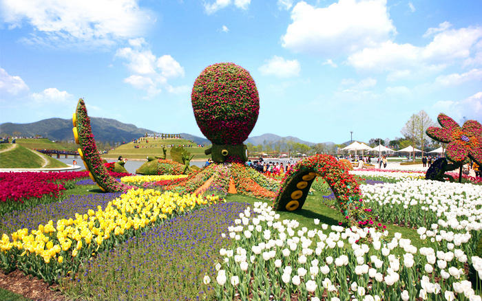 2013年，顺天曾举办“顺天湾国际园艺博览会”。（图片来自网络）