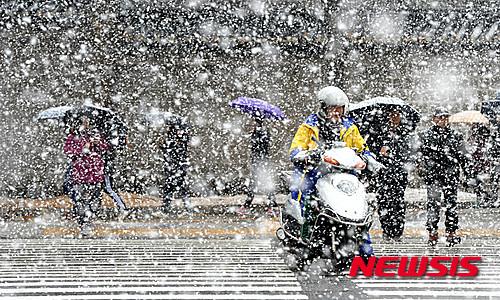 首尔普降大雪 韩国多地发布大雪警报【组图】