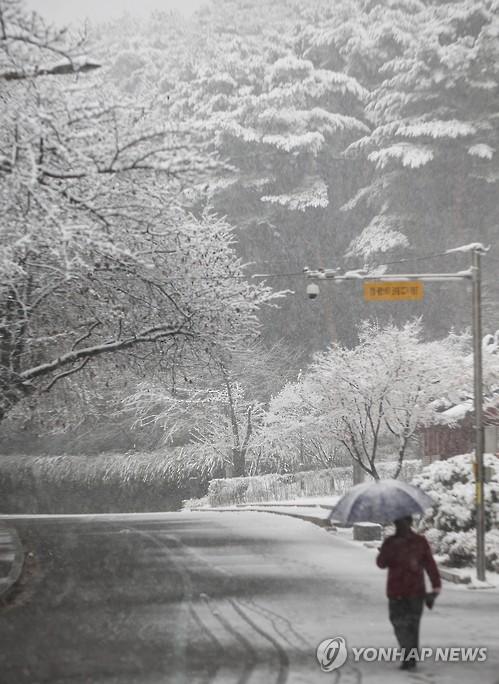 首尔普降大雪 韩国多地发布大雪警报【组图】