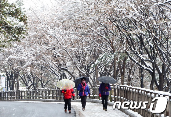 首尔普降大雪 韩国多地发布大雪警报【组图】