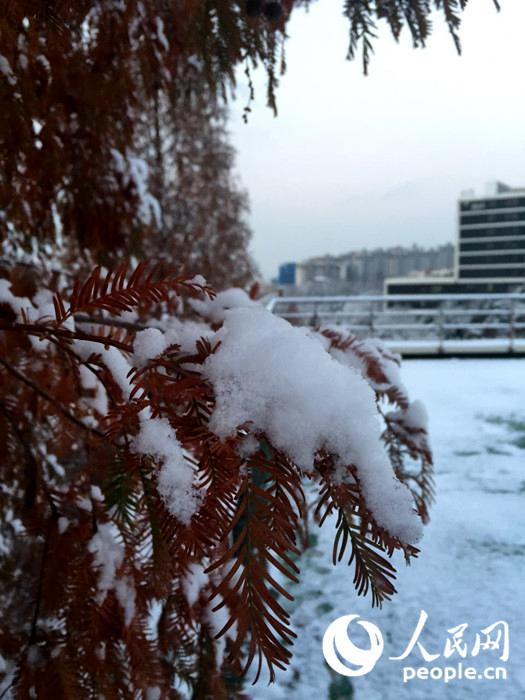 2015年首尔第一场大雪 比往年来得晚一些【组图】