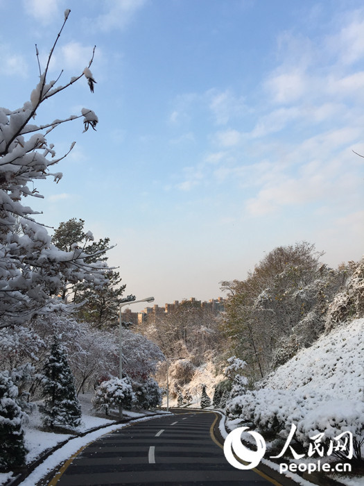 2015年首尔第一场大雪 比往年来得晚一些【组图】