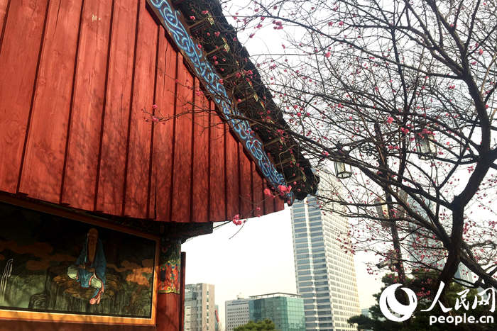 韩国的春天从奉恩寺赏梅开始 